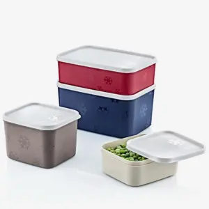 Boîte de conservation pour congélateur