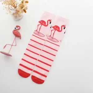 flamant-rouge